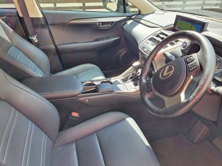 2019 Toyota LEXUS NX300
$6,900,000