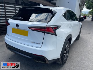 2016 Lexus NX 300h