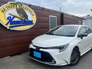 2020 Toyota Corolla for sale in Kingston / St. Andrew, Jamaica