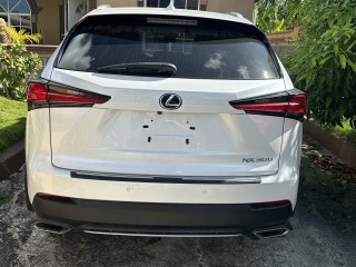 2019 Lexus NX300