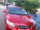 2008 Toyota Corola for sale in Kingston / St. Andrew, Jamaica