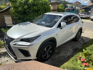 2019 Lexus NX300