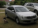 2008 Nissan BLUEBIRD SYLPHY for sale in Kingston / St. Andrew, Jamaica