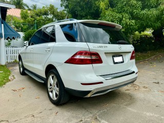 2015 Mercedes Benz ML 250 
$5,100,000