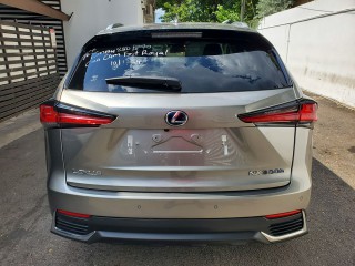 2019 Toyota LEXUS NX300
$6,900,000