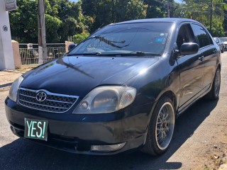 2002 Toyota Corolla