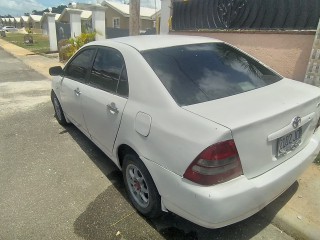 2004 Toyota Corolla Kingfish