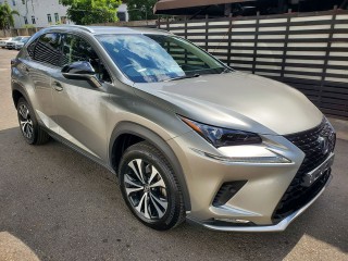 2019 Toyota LEXUS NX300
$6,900,000