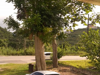 1999 Honda Integra for sale in Manchester, Jamaica