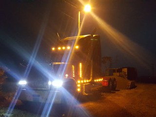 1998 Freightliner Classic for sale in Manchester, Jamaica