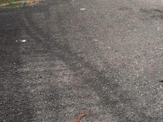 Jamaica