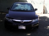 2010 Honda Civic for sale in Kingston / St. Andrew, Jamaica