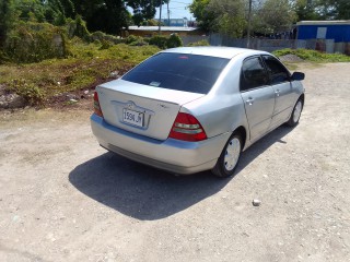 2004 Toyota Corolla KINGFISH