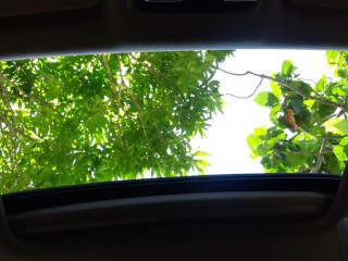 Jamaica