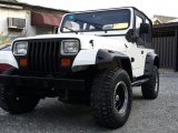 1995 Jeep WRANGLER for sale in Kingston / St. Andrew, Jamaica