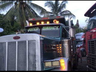 1994 Freightliner Peterbilt 379