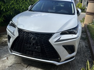 2019 Lexus NX300