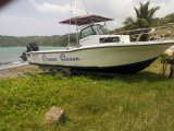 2000 BMW yacht for sale in Hanover, Jamaica
