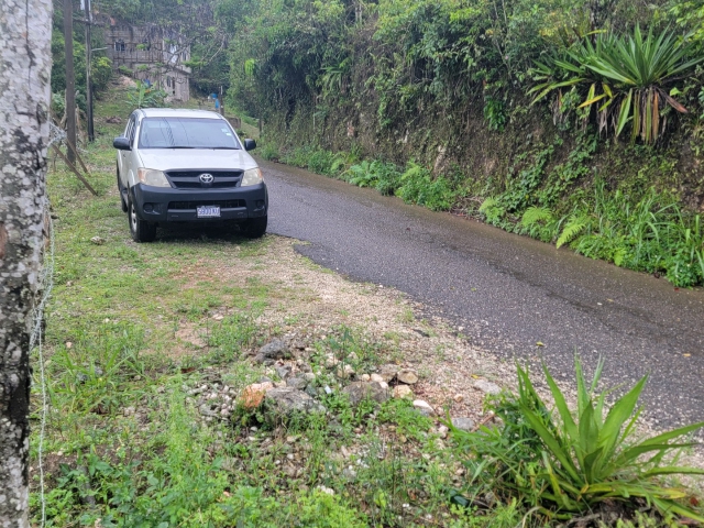 Jamaica