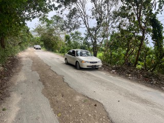 Jamaica