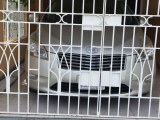 2008 Toyota Mark x zio for sale in Manchester, Jamaica