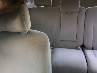 2009 Toyota Ipsum for sale in Trelawny, Jamaica