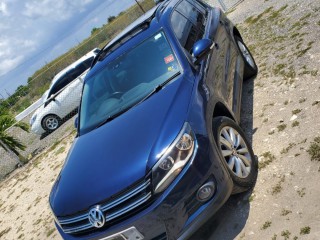 2013 Volkswagen VOLKSWAGEN tiguan