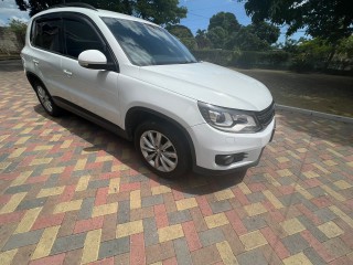 2015 Volkswagen Tiguan