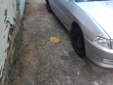 1999 Mitsubishi Lancer for sale in St. James, Jamaica